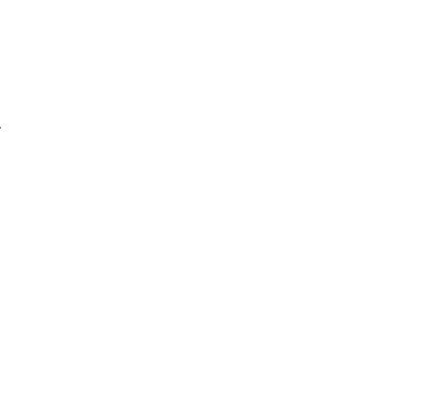 Noemi Sieg Logo